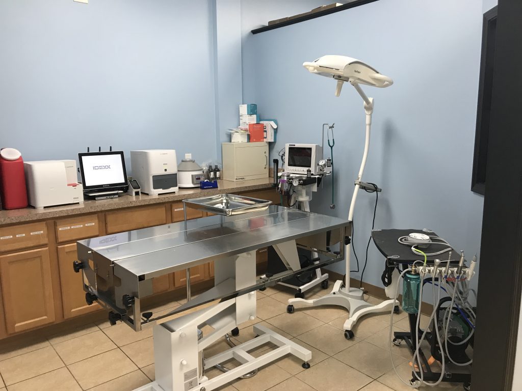 pet surgery table and equipment at animal hospital