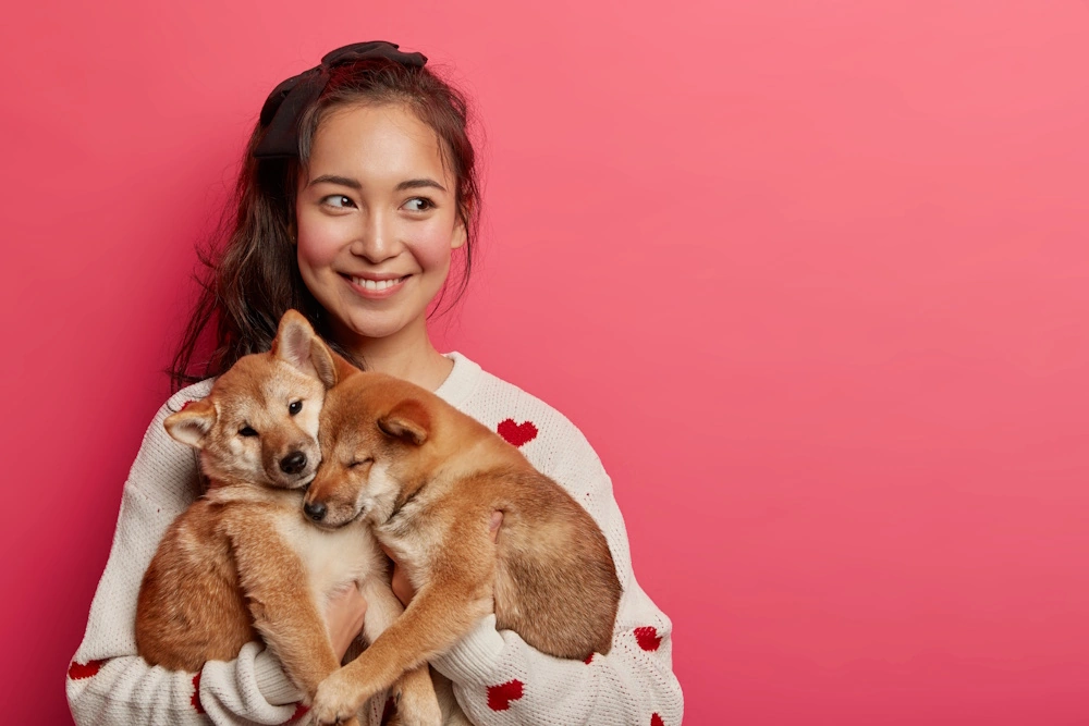 A woman cradles two puppies encouraging adop a pet Aurora IL.