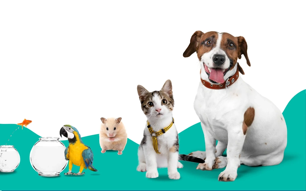 Healthy Pet in Aurora IL: a dog, cat, and hamster alongside a bird and a fish tank